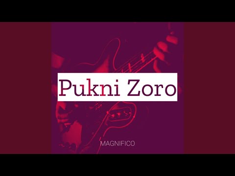 Pukni Zoro