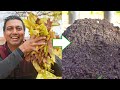 You Will Never Throw Away Fallen Leaves After Watching This Video