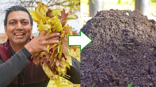 You Will Never Throw Away Fallen Leaves After Watching This Video