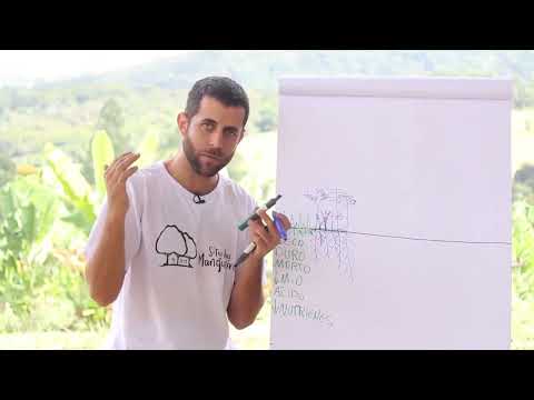 Aula 1 - Introdução a Agrofloresta