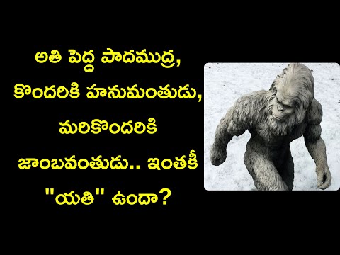 yeti explained in telugu | himalayan yati mystery | lord hanuman is alive | News6G
