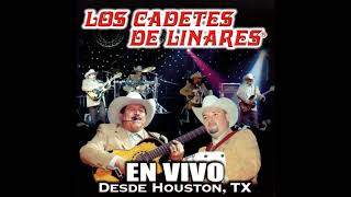 Dos Vicios (En Vivo) - Los Cadetes de Linares