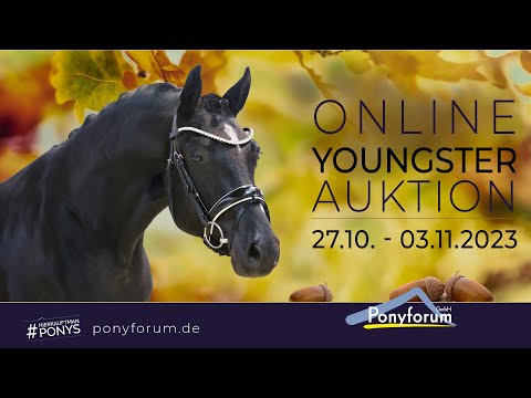 PAV Ganove Hengst 2021 v. PHWs Grandios / Strahlemann