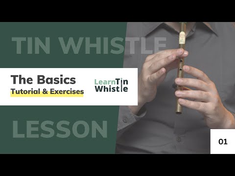 Tin Whistle Tutorial for Beginners - Blowing Basics & D Scale Exercise