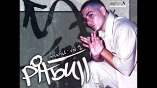 Pitbull Unleashed Vol.  2 (Full Album)