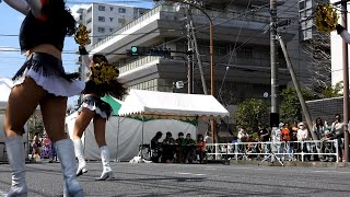 相模原市民さくらまつり2024 ノジマ相模原ライズチアリーダーズSuns①