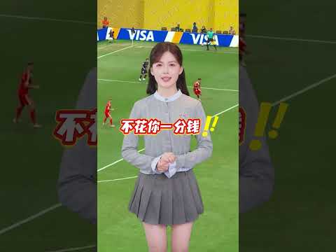 球进体育