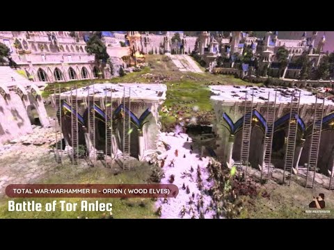 Steam Community :: Video :: Total Warhammer 3 IE Wood Elves (Talsyn ...
