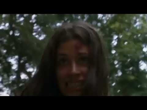 RIS project 2022 11 18 1304