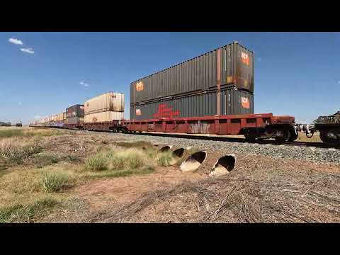 CSR015 & SCT003 Koroo NSW.  Wed 26th Feb 2025