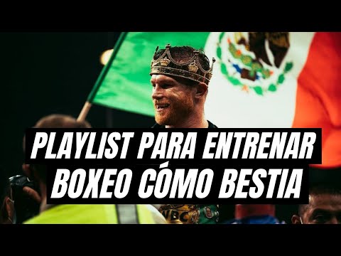 🎵MIX ROCK|| 🥊MÚSICA ROCK PARA ENTRENAR BOX🥊|| 1 HORA DE ROCK PARA ENTRENAR COMO BESTIA
