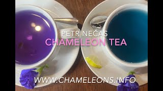 Chameleon tea changing color