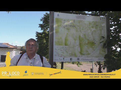 Escursioni con gli Esperti Grande Guerra - Le cannoniere e le trincee del monte Brestovec