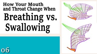 Download Lagu 06 Your Mouth u0026 Throat Change When Breathing vs Swallowing - Learning to Control Your Neck and Head Thumbnail
