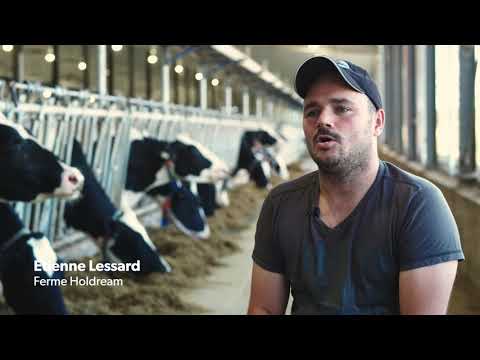 Parce qu'on grandit ensemble 🐄 | La traite robotisée à la ferme Holdream