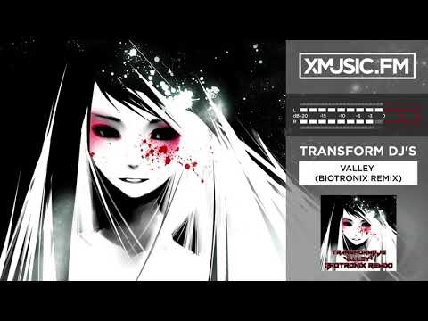 Transform Dj's - Valley (Biotronix Remix)