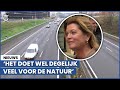Minister: 'Pas dan terug naar 130 km/h op snelweg'
