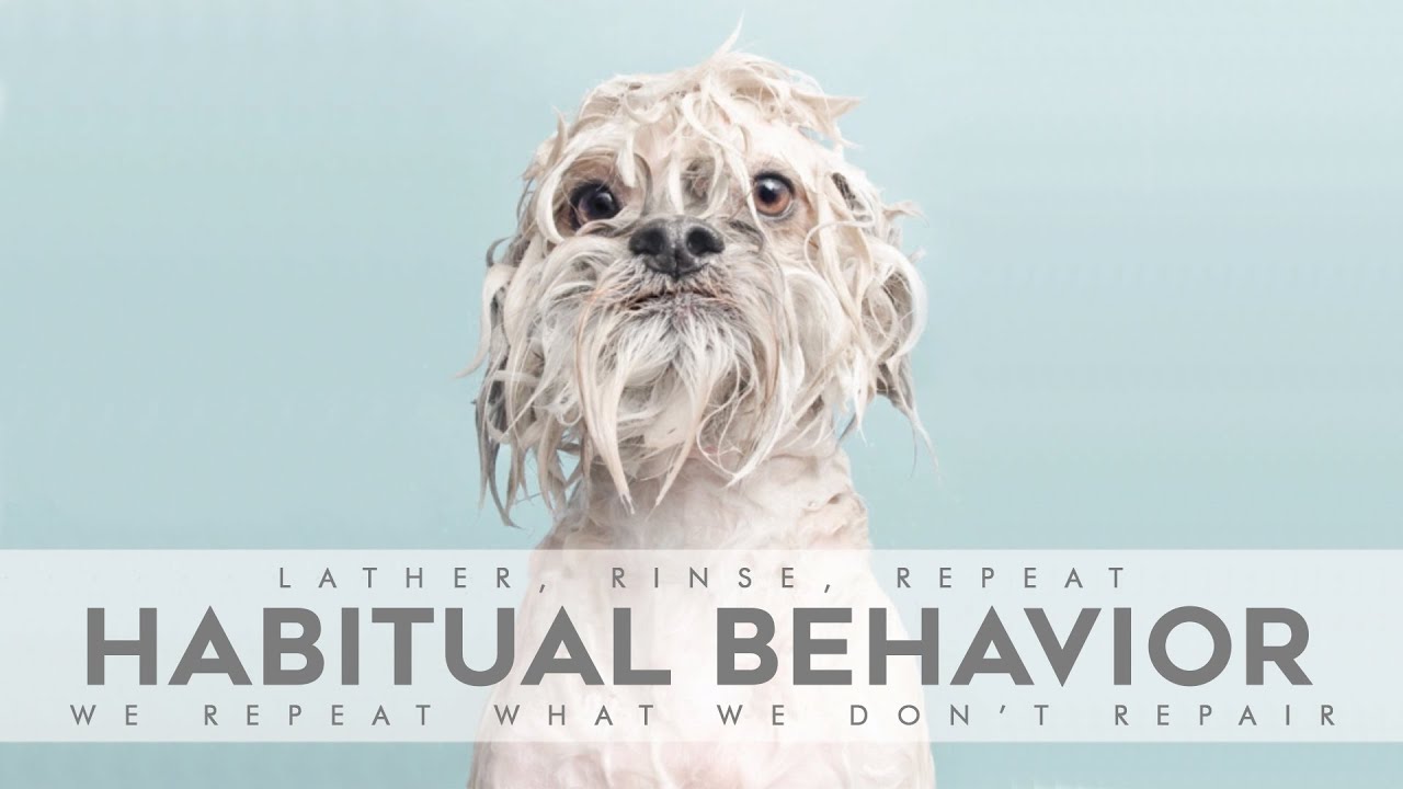 What Is Habitual Behavior More REF