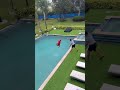 Dad throws son in the pool during the rain and mom does this #shorts