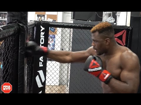 UNSEEN VIDEO! Francis Ngannou Devastating Knockout Power Training Session l UFC 220