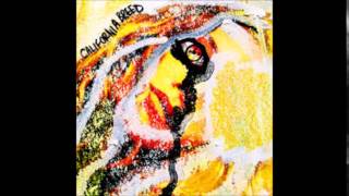 Califonia Breed - Scars