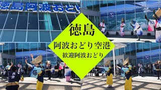 徳島阿波おどり空港　歓迎阿波おどり　武秀連　阿波おどりでお出迎え