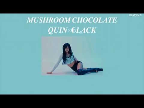 QUIN x 6LACK -Mushroom Chocokate // Lyrics