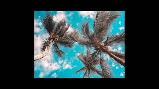 Download lagu Leila Chicot   Ca Aurait Du Etre Moi zouk love mp3