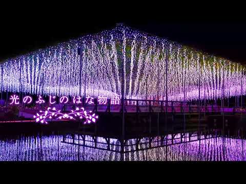 「光の花の庭」あしかがフラワーパーク60秒プロモーション映像