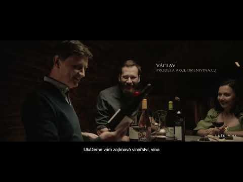 Náhled pro video reference