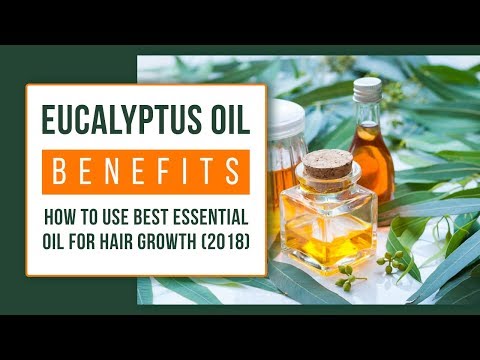 Eucalyptus Oil Benefits For Skin and Hair | Nilgiri...