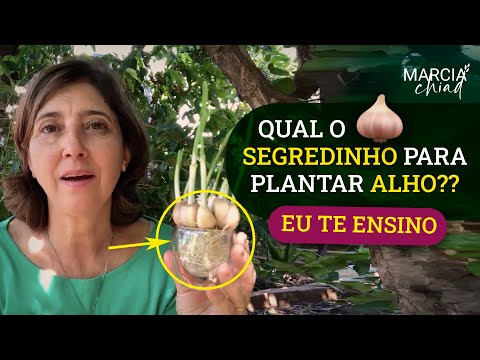 , title : 'ESTA É A MELHOR ÉPOCA PARA PLANTAR ALHO - Horta em Casa | Marcia Chiad'