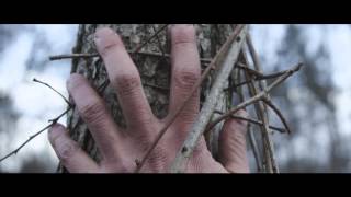 Diane Cluck - Sara - (Official Video)