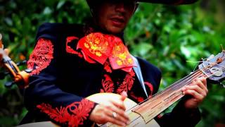Video de Mariachi Legendario Veracruz