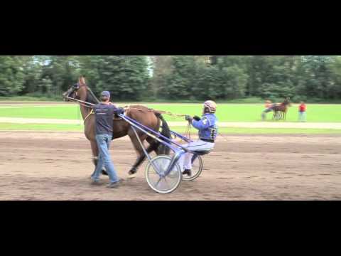 sweepstake drafbaan groningen