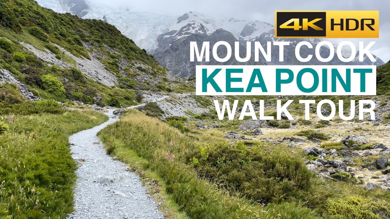 Experience a virtual hike along the Kea Point Track.
