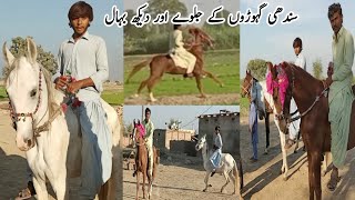 Download lagu Sindhi horse ki Race k bad dekh bhal mp3 Download lagu Sindhi horse ki Race k bad dekh bhal mp3