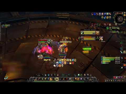 PvP Newbie vs Rogue Feral Druid || World of Warcraft Arena Gameplay