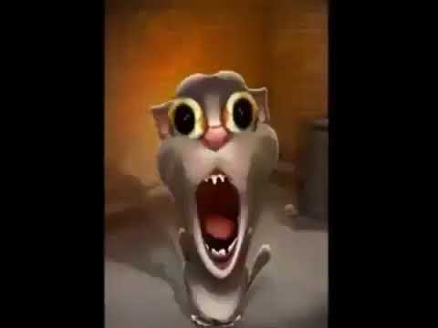 Talking Tom void meme