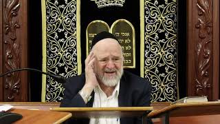 פרשת נח תשפ"ו הרב ברוך רוזנבלום בשיעור מרתק על סיפור המבול ותיבת נח מבקשי ה' אלעד (רבנים שונים) - התמונה מוצגת ישירות מתוך אתר האינטרנט יוטיוב. זכויות היוצרים בתמונה שייכות ליוצרה. קישור קרדיט למקור התוכן נמצא בתוך דף הסרטון פרשת נח תשפ"ו הרב ברוך רוזנבלום בשיעור מרתק על סיפור המבול ותיבת נח מבקשי ה' אלעד (רבנים שונים) - התמונה מוצגת ישירות מתוך אתר האינטרנט יוטיוב. זכויות היוצרים בתמונה שייכות ליוצרה. קישור קרדיט למקור התוכן נמצא בתוך דף הסרטון