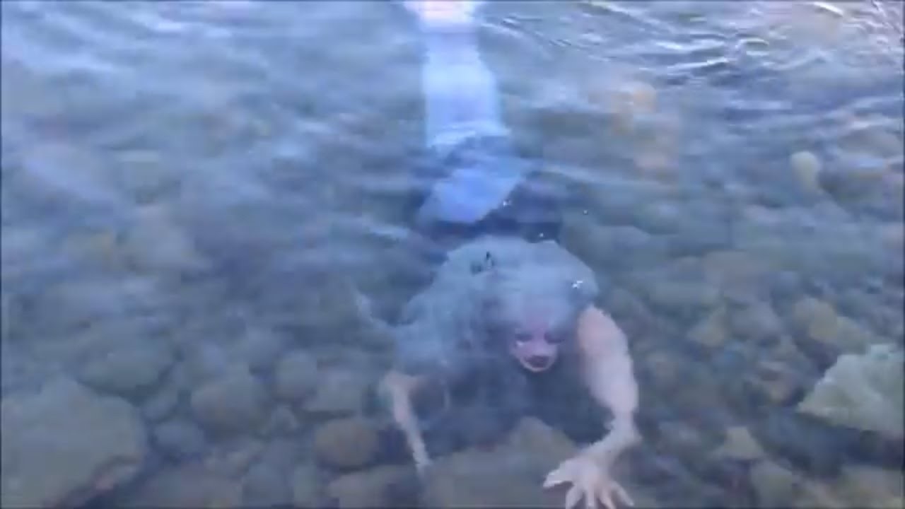 SE UM DRONE ESPIÃO NÃO FILMASSE ISSO, NINGUÉM ACREDITARIA!