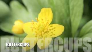 I Love Colors don't ask me why!