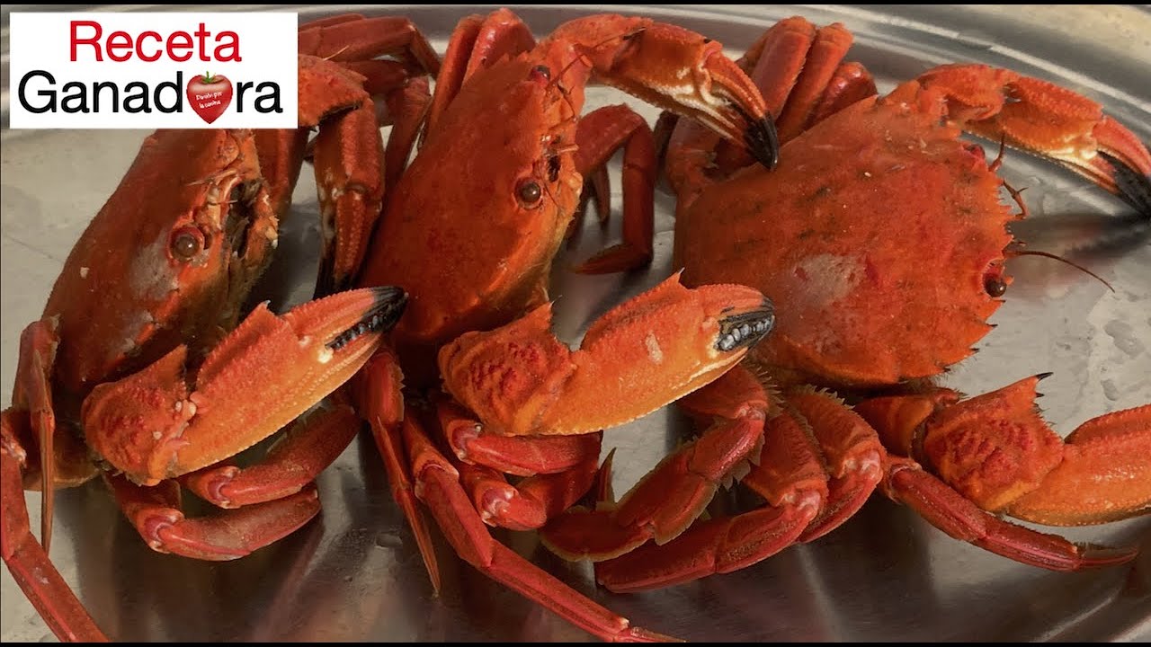 Nécoras cocidas | Algunos consejos interesantes | Receta ganadora