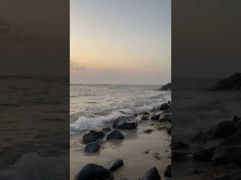 ٢٤ كانون الثاني، ٢٠٢٤