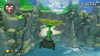 Dolphin Shoals - 1:57.368 - Darren (Mario Kart 8 World Record)