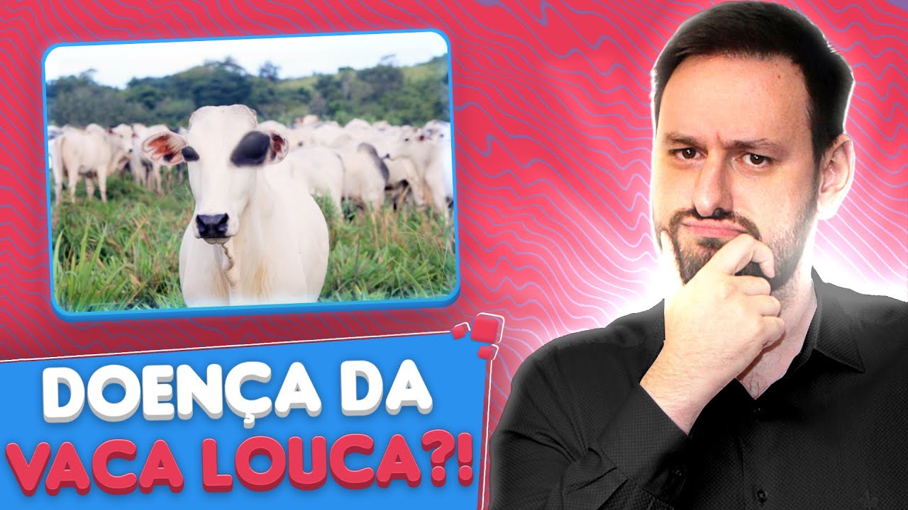 TUDO SOBRE A DOENÇA DA VACA LOUCA!