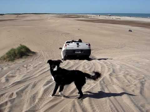 Saveiro medanos Pinamar1