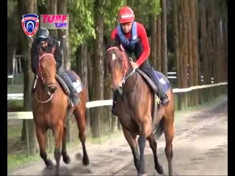 FLOREAL NEWS RACE MEETING 32