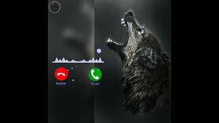 Download lagu Famous Turkish Attitude Ringtone || Download Now Noyan Ringtone Music 2021 mp3 Download lagu Famous Turkish Attitude Ringtone || Download Now Noyan Ringtone Music 2021 mp3