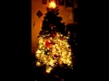 Christmas Tree Light Show Blesed Mary
